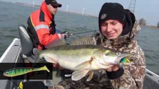 Jackson Active Shad