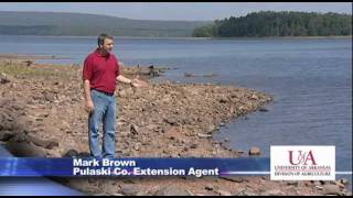 Smart Landscape Irrigation - Evaporation