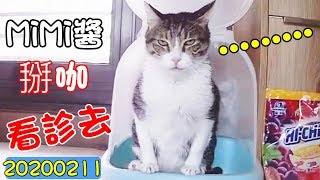 浪愛走下去-Mi爺腳痛又復發 帶去醫院現場排隊 (20200211)