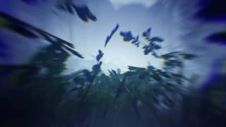 Black Desert (KR) -  New character - 1st Official Trailer - Dark Knight