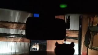 Не пишет видео marubox 600