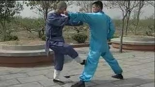 Shaolin kung fu combat: 20 methods