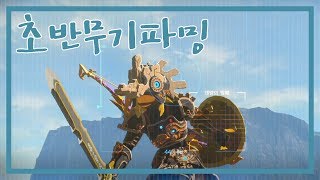 초반에 좋은무기]파밍 가이드 젤다의전설: 야생의숨결 The legend of zelda :BotW