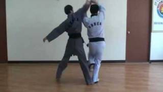 KTHF, GM Kim Chil Yong. ГМ Ким Чиль Ён 9 дан. (видео 4)