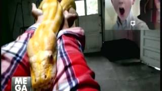 VIDEOS RECOMENDADOS DE YOUTUBE MEGANOTICIAS 22 02 2013