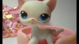LPS - Новая редкая стоячка #64! (Megan Collins из LPS popular)