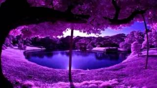 Purple/Violet Energy Meditation