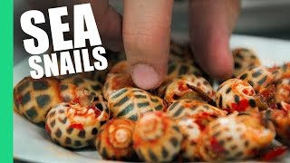 Sea Snails in Saigon, Vietnam! (Oc Dao)