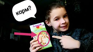 Чем и как кормить декоративного кролика ?? ?!?