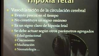EVALUACION DOPPLER DE LA CIRCULACION CEREBRAL FETAL