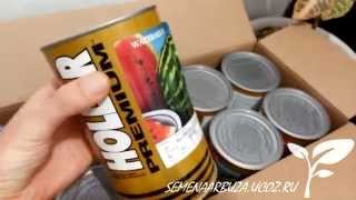 АУ Продюсер ПВП Hollar Seeds, США ☎ +7(912)847-52-01