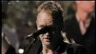 Sting -Desert rose live