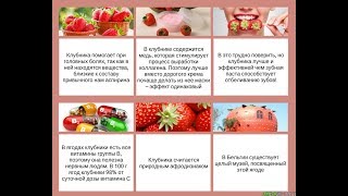 Домашняя Ягодница Отзывы Форум
