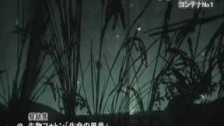 KB09 グリーンアート展 奨励賞　生物フォトン「生命の風景」