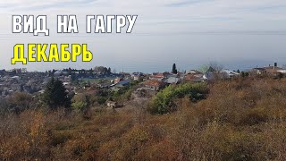 АБХАЗИЯ ЗИМОЙ | Вид на Гагру с объездной | Субтропический город