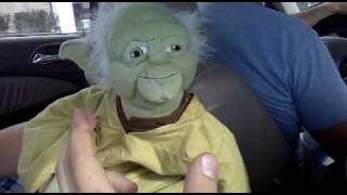 Hangin' With Yoda