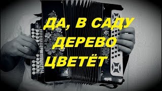 Да, в саду дерево цветёт | Казачья строевая песня | Видеоурок игры на гармони для начинающих