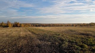 Хождения с друзьями за семь полей. #1......Minelab E-Trac.