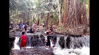 WISATA HUTAN ALASKA | alas karetan