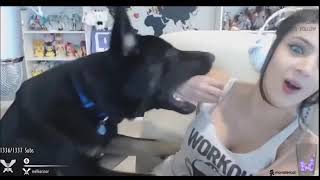 streamer sexy  twitch