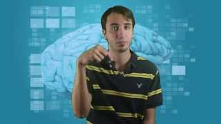 ATM Hacking | MONEY TRANSFERS | Fake online transactions