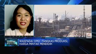 Kebijakan OPEC+ Bikin Harga Minyak Nak, Beban APBN Kian Berat?