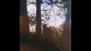 xxxtentacion - skin instrumental (slowed)