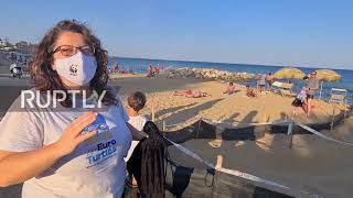 Italy: Hundreds of baby turtles hatch in Caretta caretta nest in Avola