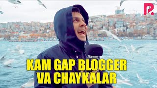 Kam gap blogger va Chaykalar (Bahtiyor Turg'unov)