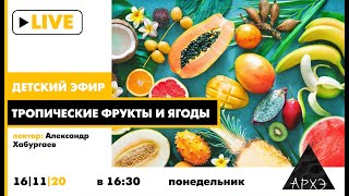 Детский эфир "Тропические фрукты и ягоды" в рамках рубрики "Путешествия с натуралистом"
