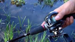 CapT.M. Esox Swimbait (ES 21 NP-1) /fullHD