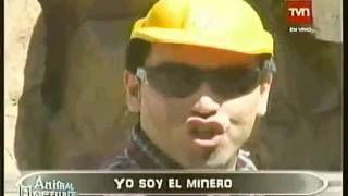 La Canción del Minero 34