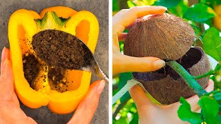 Plant Growing Tips You Need to Try