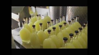 Sfusatello Badia liquore di Limoni naturale al 100%