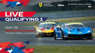 Ferrari Challenge UK - Snetterton, Qualifying 1