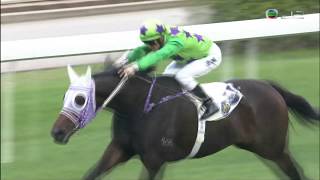 2018/19 (298) - Tianchi Monster (天池怪俠) - 潘頓 (試準增程強配輕鬆贏馬開齋)
