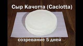 Сыр Качотта (Caciotta) полный рецепт приготовления итальяноского сыра , не требует выдержки