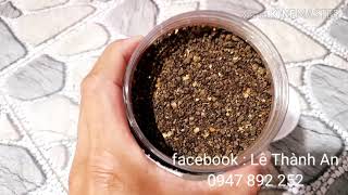 Khoáng Chất Cao Cấp Tổng Hợp Đặc Biệt Dành Cho Chim Cu Gáy