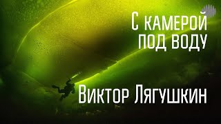 С камерой под воду. Интервью с Виктором Лягушкиным