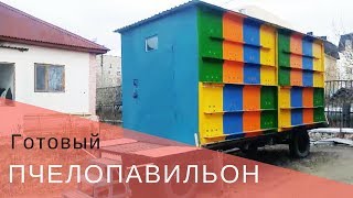 Готовый пчелопавильон. Какие цвета различают пчелы? Какие фигуры различают пчелы? Мёд Исмаил.