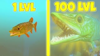 ЭВОЛЮЦИЯ ЩУКИ ЧТО БЫ СТАТЬ ГИГАНТСКОЙ ЩУКОЙ! | Feed and Grow Fish