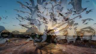Marokko  - Essaouira by my-reisefotografie.de