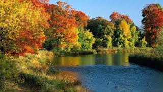 Relax.Nature,studio,Artfresco&Decor.Мастер,клАСС по Декорированию,декоративной штукатуркой