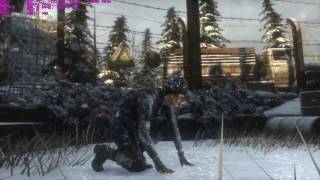GTX 1050 Ti + i3 6100 (The Witcher 3: Wild Hunt , Team Fortress 2)