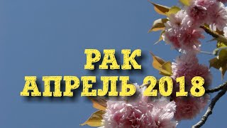 Гороскоп Таро на апрель 2018. Рак. Таро Нью Вижн.