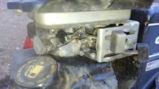 Briggs 5hp on 1993 MTD shredder. Gas leaking from carb & over revving.