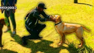 Un cațel super draguț! | Watch Dogs 2 [CO-OP]