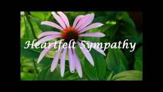 Heartfelt Sympathy Ecard