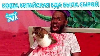 ЛУЧШИЕ ПРИКОЛЫ ИЮНЬ 2019  Бухлители ТОП МЕМЫ