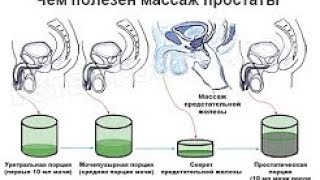 Массаж простаты польза